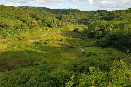 Te Pa'ata Lookout